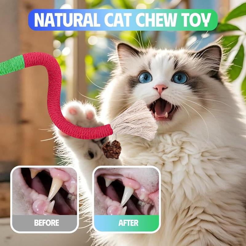 Txfny Cat Toys Chew Ropes 9 Pcs with Refillable Natural Catnip, Safe Teeth Cleaning Toys for Indoor Cats,Interactive Cat Nip Kitty Toys for All Breeds