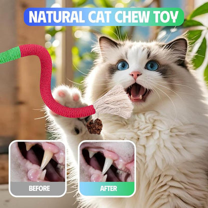 Txfny Cat Toys Chew Ropes 9 Pcs with Refillable Natural Catnip, Safe Teeth Cleaning Toys for Indoor Cats,Interactive Cat Nip Kitty Toys for All Breeds