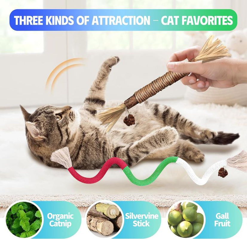 Txfny Cat Toys Chew Ropes 9 Pcs with Refillable Natural Catnip, Safe Teeth Cleaning Toys for Indoor Cats,Interactive Cat Nip Kitty Toys for All Breeds